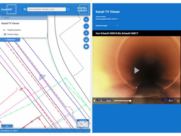 BlueMAP- pipping inspection in a viewer